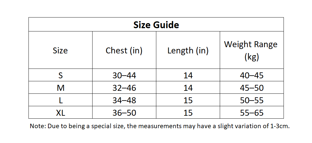 Trendy Off-Shoulder Crop Top for Women | Korean Style Short Sleeve T-Shirt in Multiple Colors | Summer Must-Have