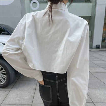 Korean Street Style Long Sleeve Cropped Polo Shirt for Women – Casual Minimalist Cotton Top for Layering & Daily Wear